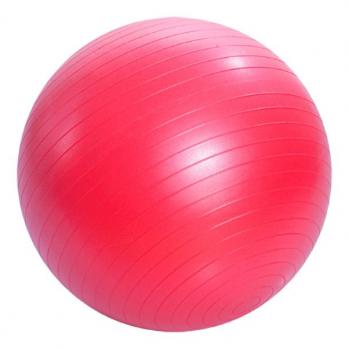 Мяч для занятий лечебной физкультурой Тривес фото 2